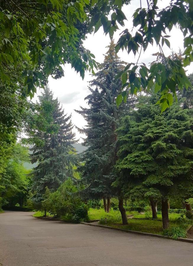 Vanadzor Armenia Health Resort & Hotel Exterior foto